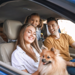 Kelsem Ricardo Rios Lima orienta como escolher o carro ideal para sua família com base em segurança, espaço e economia.