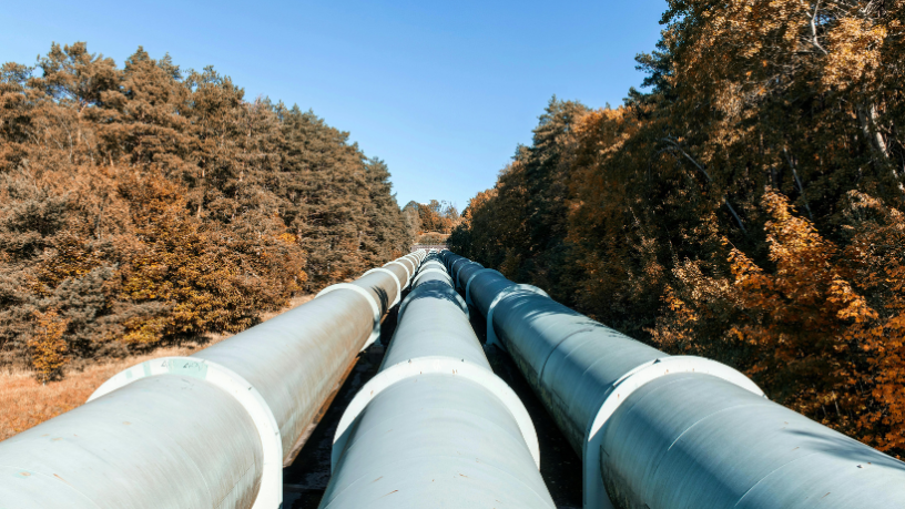 A feira no Turcomenistão destaca projetos de gasodutos que redefinem a logística energética internacional, afirma Paulo Roberto Gomes Fernandes.